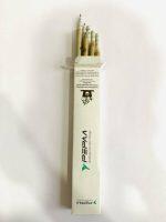 5 Newspaper Pencil & 4  Plantable Seed Pen (Pack Of 8 In A Box)