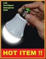 5W Intelligent Emergency Globe Bulb