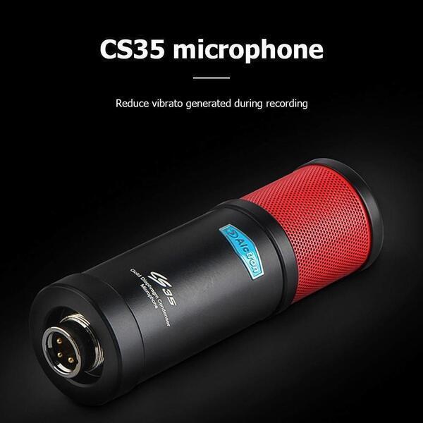 Alctron CS35 Condenser Microphone for Studio Recording w/Shock Mount Filter