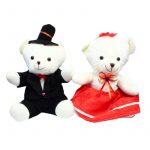 Couple Teddy Bear Stuffed Toys- Small 1 fit