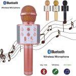 Bluetooth Wireless Microphone WS-858 Handheld Karaoke Inbuilt Speaker
