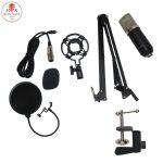 BM-800 Condenser Microphone Bundle with Adjustable Mic Suspension Scissor Arm, Shock Mount and Double-Layer Pop Filter for Studio Recording & Brocasting