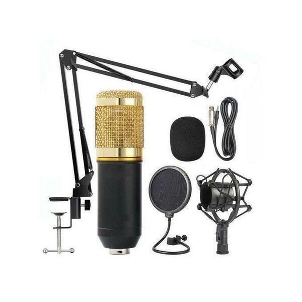 BM-800 Mic Kit Microphone