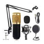 BM-800 Microphone