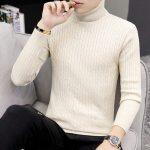 Turtle Neck Sweater For Men