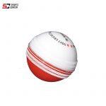 Cricket Ball Vixen Twin Ball Gold