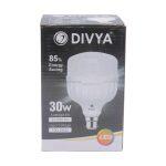 Divya 30 W White LED Bulb B22