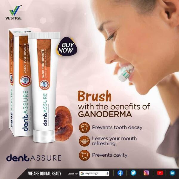 Ganoderma Mushroom Vestige Dentassure Gano Toothpaste