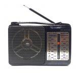 Golone Rx-607Ac Radio