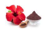 Hibiscus Flower Powder (100 Gms)