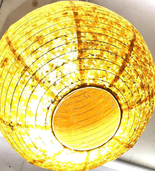 Lamp shades/lokta paper lamp shades