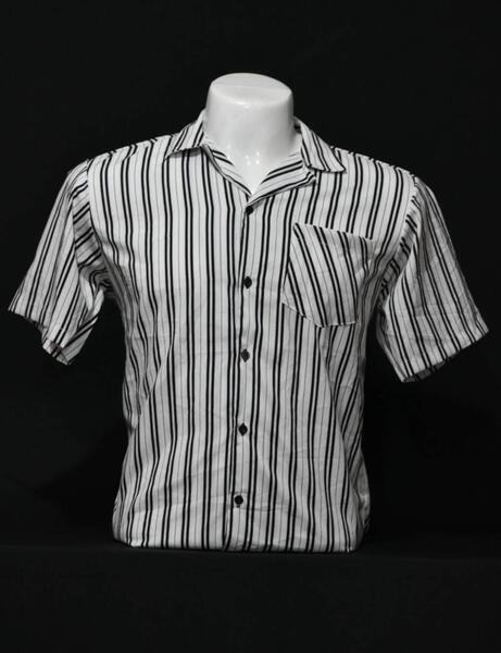 Men Regular Fit Shirt