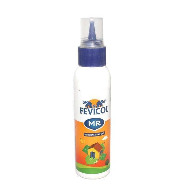 Mr Fevicol General Purpose 105gm