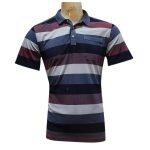 Multi Stripe Polo Shirt For Men