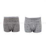 Pack Of 2 Cotton Printed Brief Boxers For Men