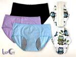Period Panties 2 Piece