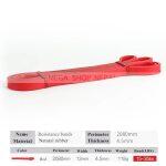 Pull Up Assistance Band – Pull Up Bands
