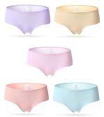 Set Of 5 Ice Silk Seamless Panties
