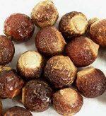 Soapberry/Rittha Dana (रिठा दाना)
