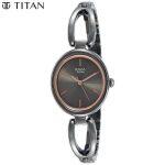 Titan   Raga Viva Grey Dial Analog Watch For Women - 2579Qm01