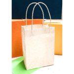 Gift Bag 20*27 Cm