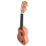Aiersi 21 inch Ukulele with Bag ( Orange )