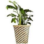 Bamboo Bin/Flowerpot