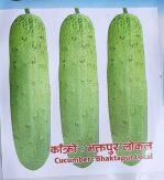 Cucumber Seeds Bhaktapur Local