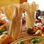 Disposable Wooden Fork 16cm