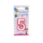 Five Birthday Candle