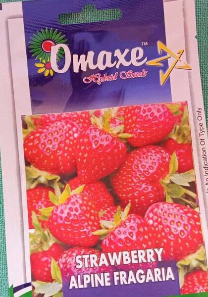 Fruit Seeds - Strawberry Seeds - Alpine Fragaria 30 Plus Seeds