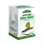 Gorakhnath Giloy Imun 60 Capsule