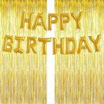 Happy Birthday Backdrop set (HBD foil Balloons + Fringe Curtain )