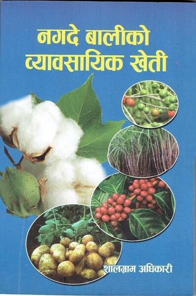 Nagade Baliko Bebasayek Kheti- Salgram Adhikari
