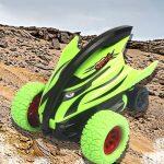 Pull Back Stunt Car With 360° Pull Back