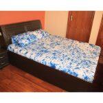 Queen size printed pure cotton bed sheet with two pillow covers