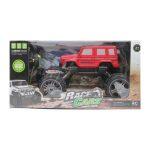 Race Car Remote Control Kids Toy