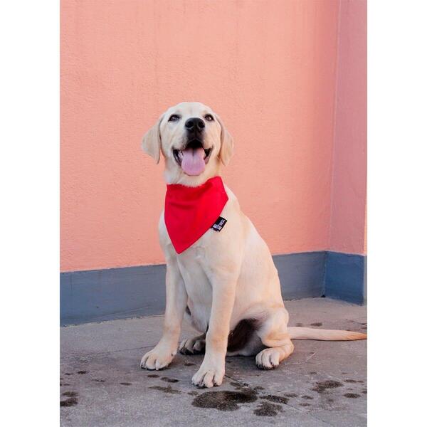 Reversible & Double layer -Bright Red Dhwo Dog Bandanas-Small