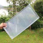 Seed Tray White Transprent For Rice And Jamara Seeds