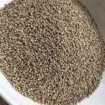 Silam Seeds – 1Kg / Perilla Seeds / Shilam