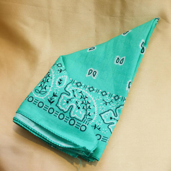 Skyblue Printed Cotton Bandana Scarves