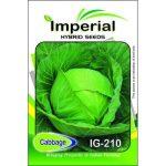 Vegetable Seeds – 1 Packet Cabbage Seeds IG210 Hybrid Seeds