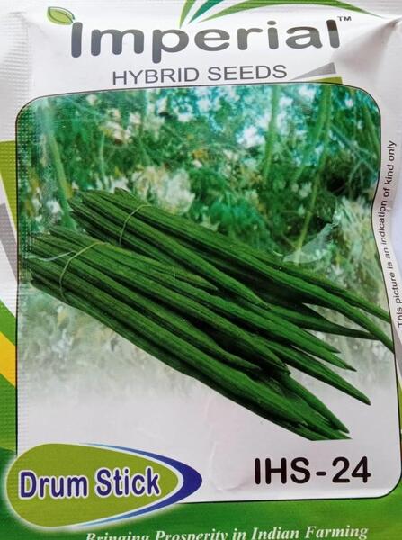 Vegetable Seeds - 1 Packet Drum Stick Seeds