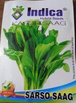 Vegetable Seeds- 1 Packet Kasmiri Saag Seeds