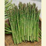 Vegetable Seeds- All Time All Seasons Baramase Asparagus Mary Washington Variety 20 Plus Seeds Kurilo Seeds