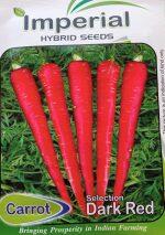 Vegetable Seeds – Carrot Seeds Long