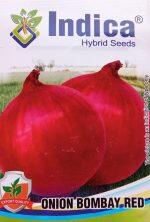 Vegetable Seeds – Onion Bombay Red Seeds