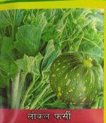 Vegetable Seeds- Pumpkin Seeds Local (फर्सी लोकल)