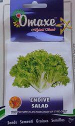 Vegetable Seeds- Salad Seeds – 100 Plus Endive Salad Seeds