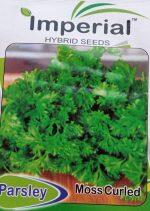 Vegetable Seeds & Salad Seeds – Parsley Moss Curled Seeds